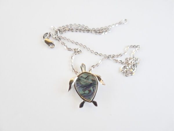 A turtle is shown on the chain of a necklace.