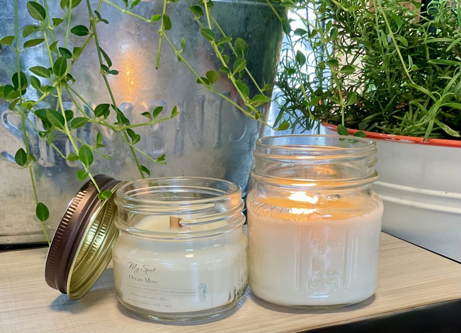 Ocean Moss candle lit with wood wick soft glow relaxing ambiance